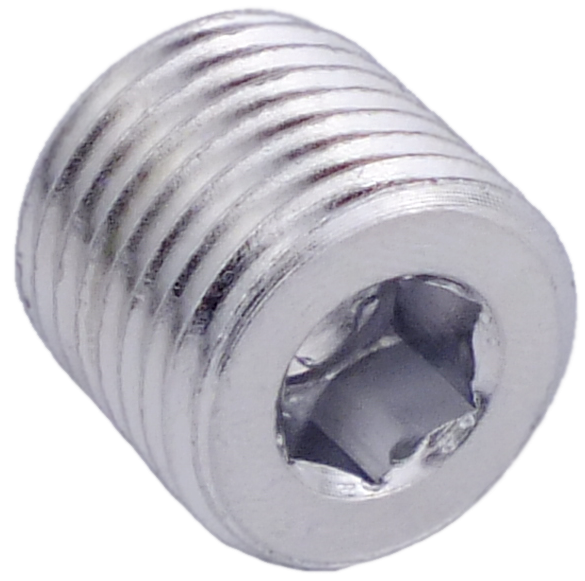 Pipe Plug 1/4 BPST Socket Head NPB (#4100301)