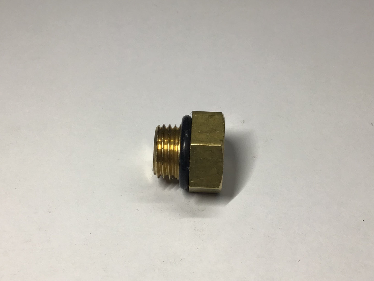 Pipe Plug M16 X 1.5 (for Low Level) (#1000302)