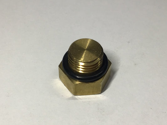 Pipe Plug M16 X 1.5 (for Low Level) (#1000302)